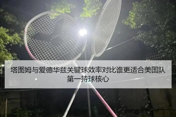 塔图姆与爱德华兹关键球效率对比谁更适合美国队第一持球核心